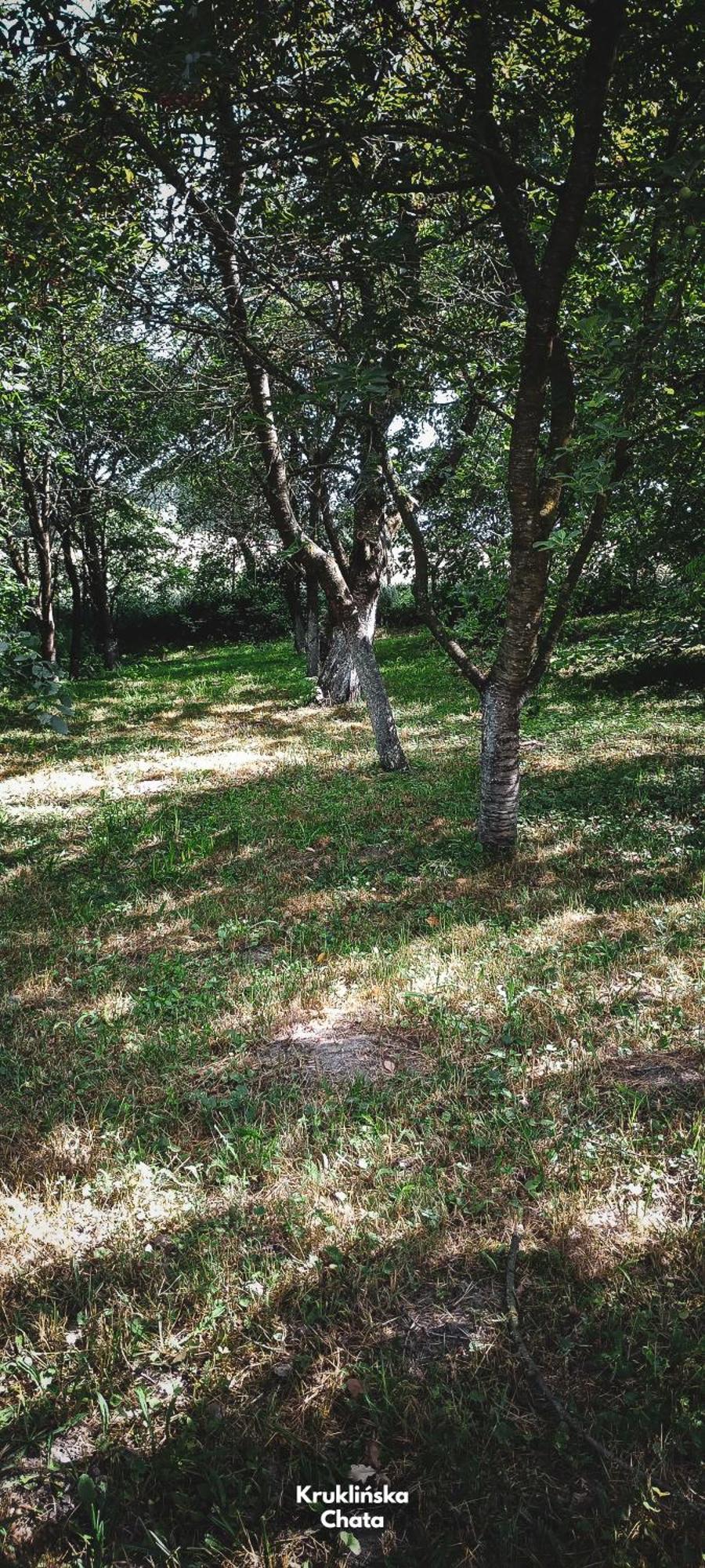 Kruklinska Chata - Domek Na Mazurach Экстерьер фото
